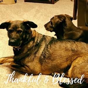 Meet your Posher, Troy bridgett